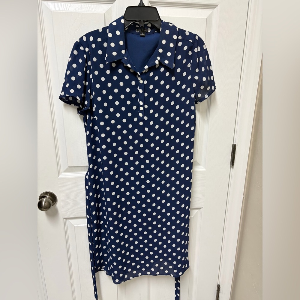 Ann Taylor Navy Polka Dot Dress